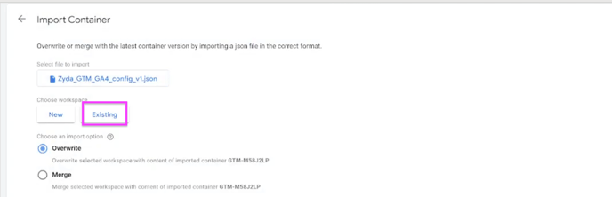 Choosing Existing when importing the container