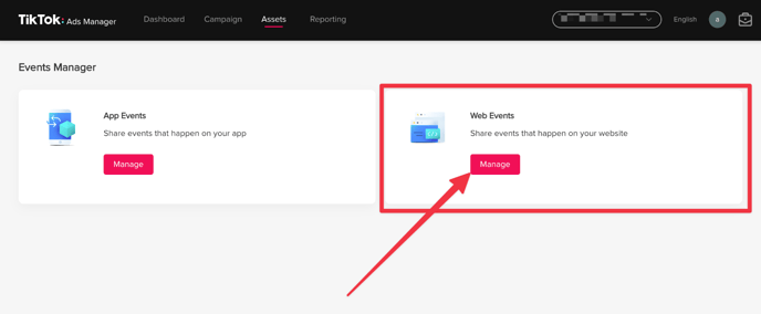 Web Events under Assets in TikTok Ads
