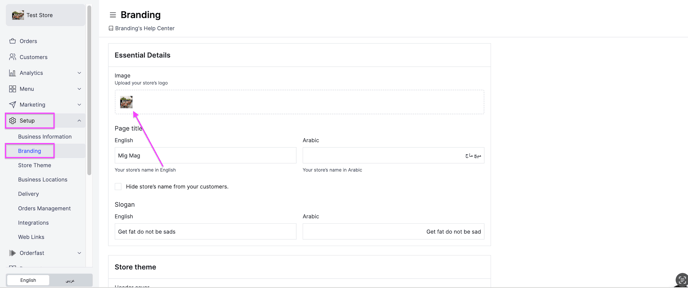 The Branding page with the logo image field
