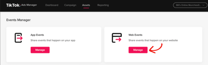 Web Events under Assets in TikTok Ads